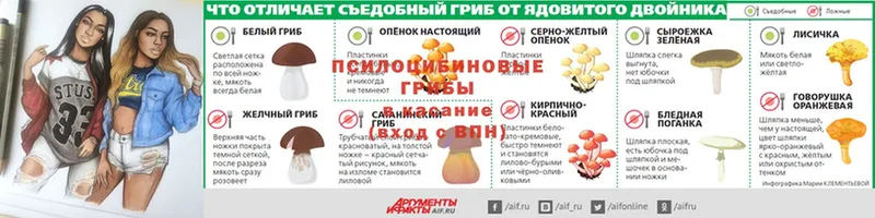 Галлюциногенные грибы мухоморы  наркота  Владимир 